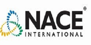 Corrosion Under Insulation (CUI) Risk Monitoring Using Electro-Magnetic Guided Radar